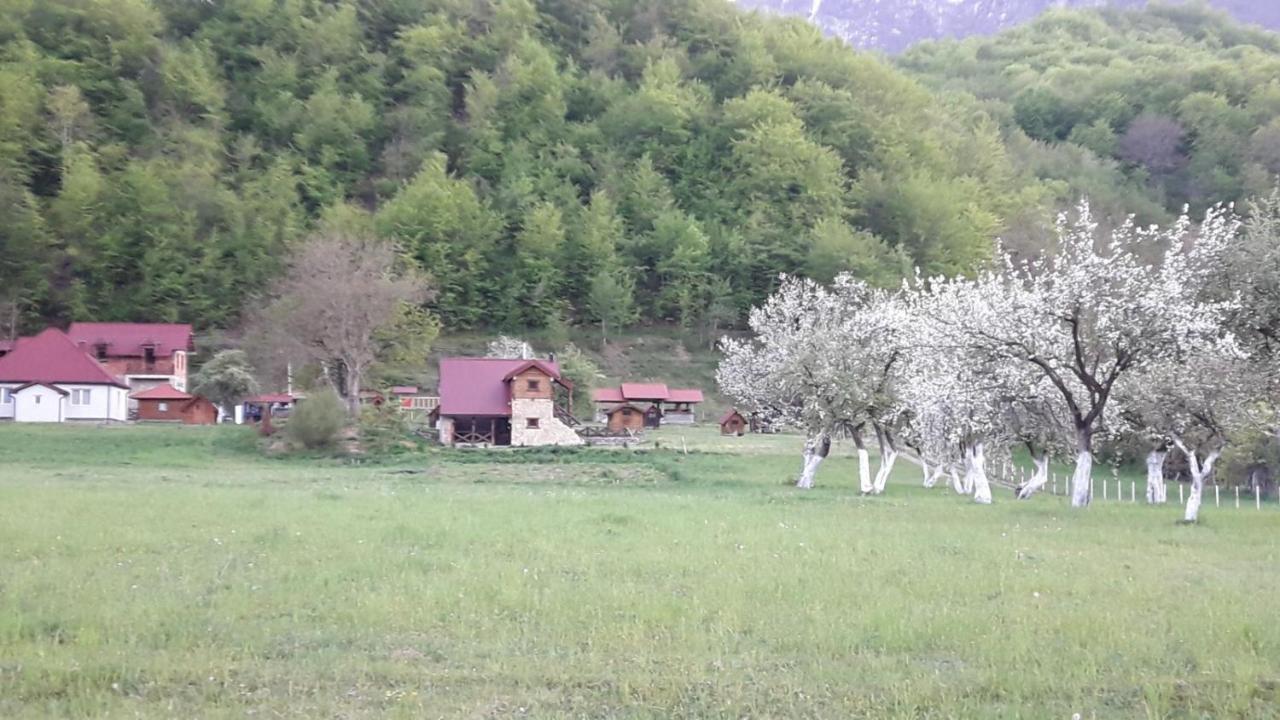 Camp &Apartmens Scepanovic Mojkovac Exterior photo