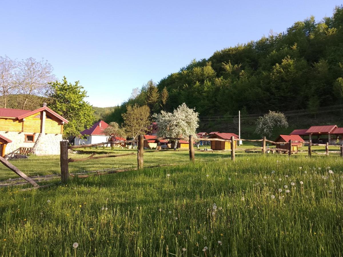Camp &Apartmens Scepanovic Mojkovac Exterior photo