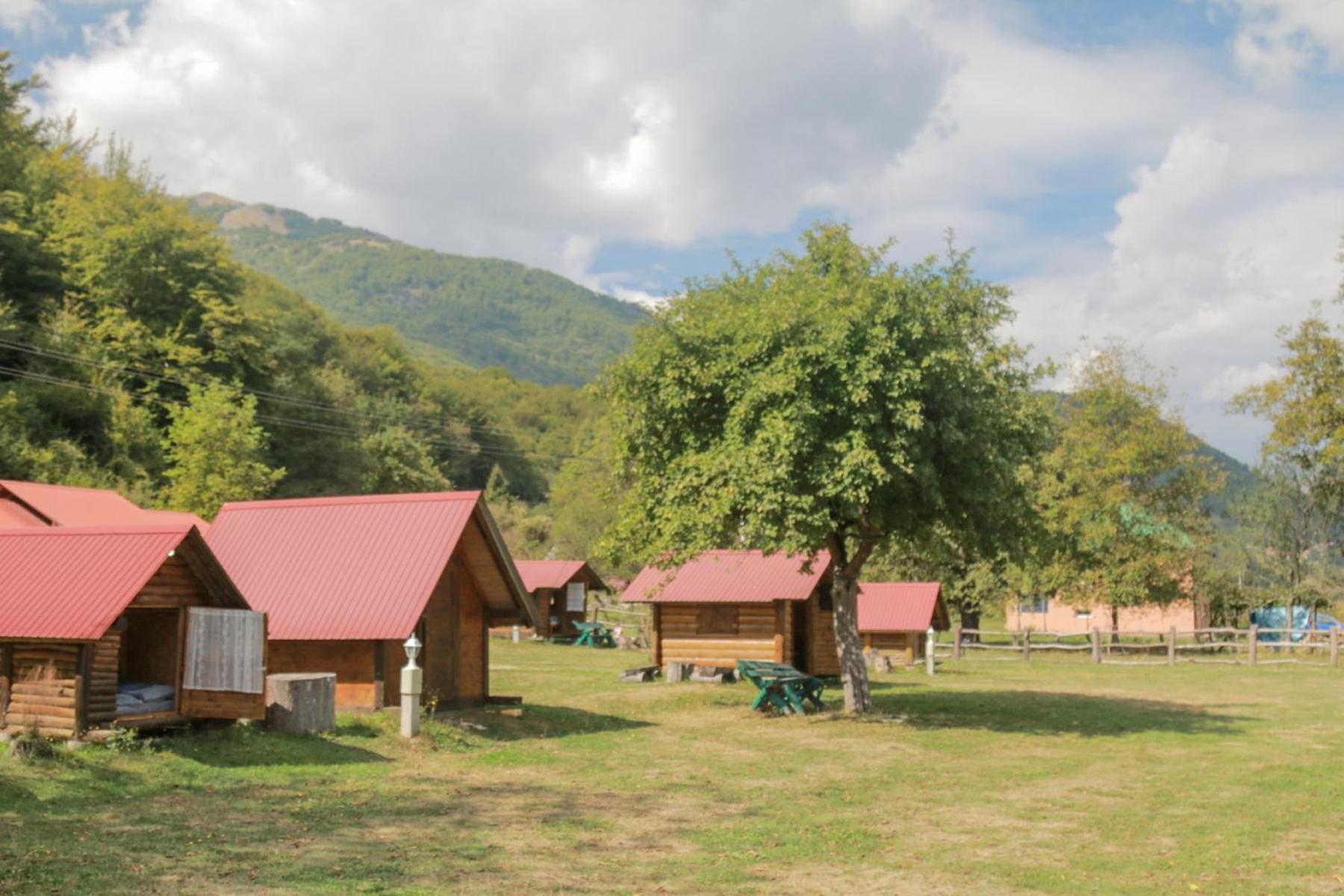 Camp &Apartmens Scepanovic Mojkovac Exterior photo